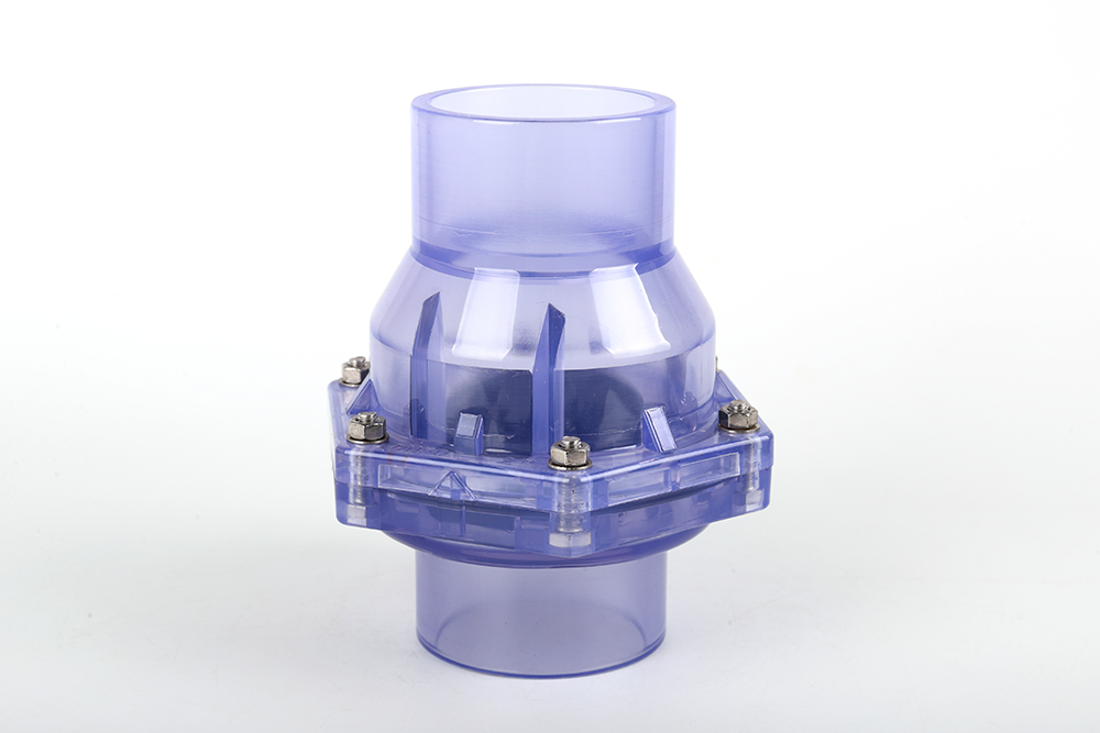 金城江透明翻板式止回阀